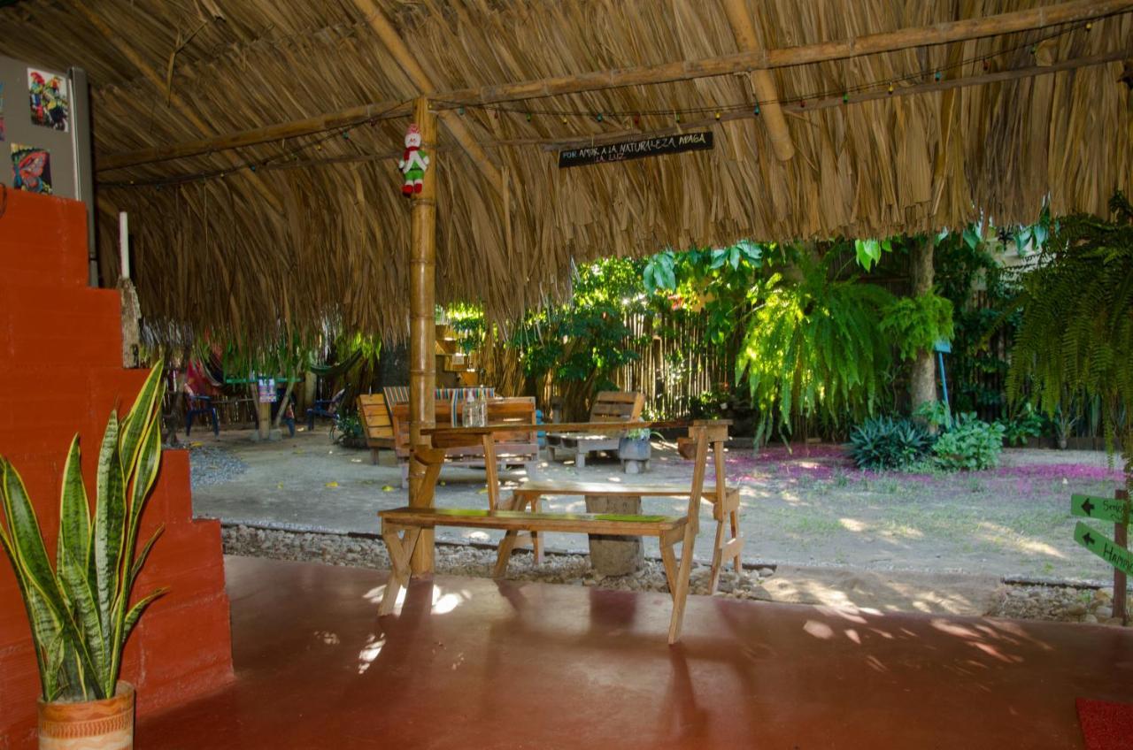 Hostal Corazon De Tagua Palomino Exterior photo