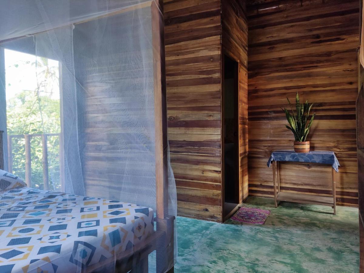 Hostal Corazon De Tagua Palomino Exterior photo