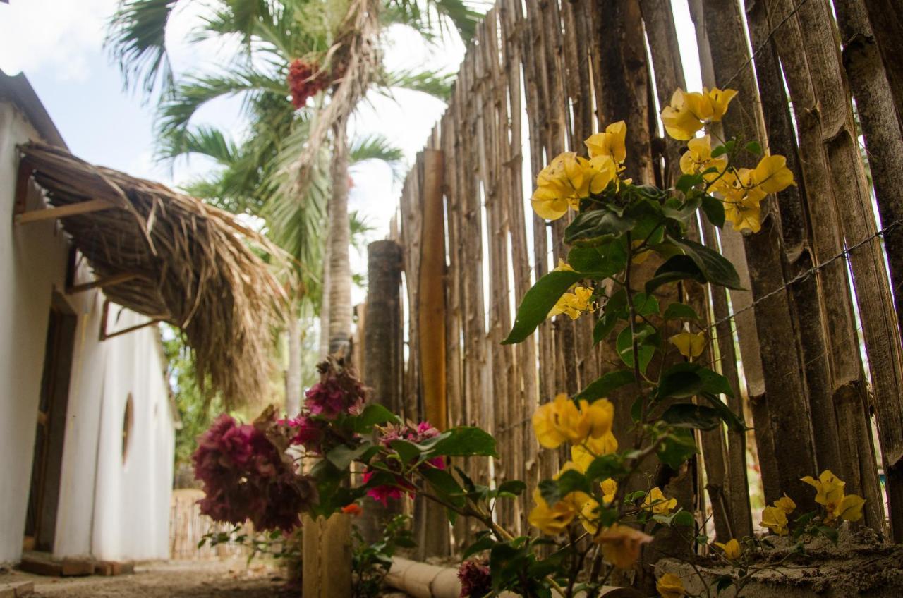 Hostal Corazon De Tagua Palomino Exterior photo