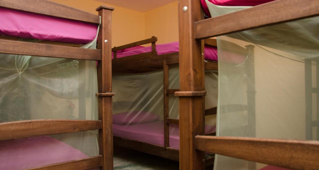 Hostal Corazon De Tagua Palomino Exterior photo