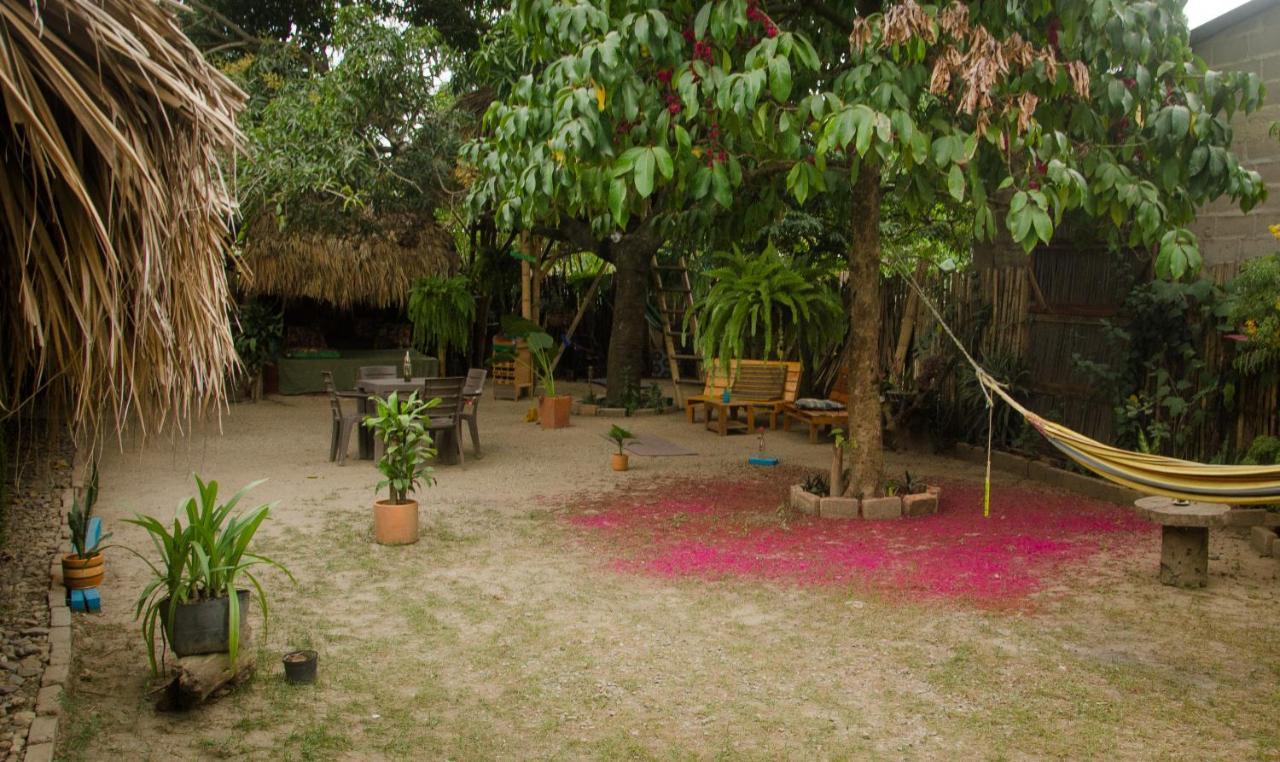 Hostal Corazon De Tagua Palomino Exterior photo