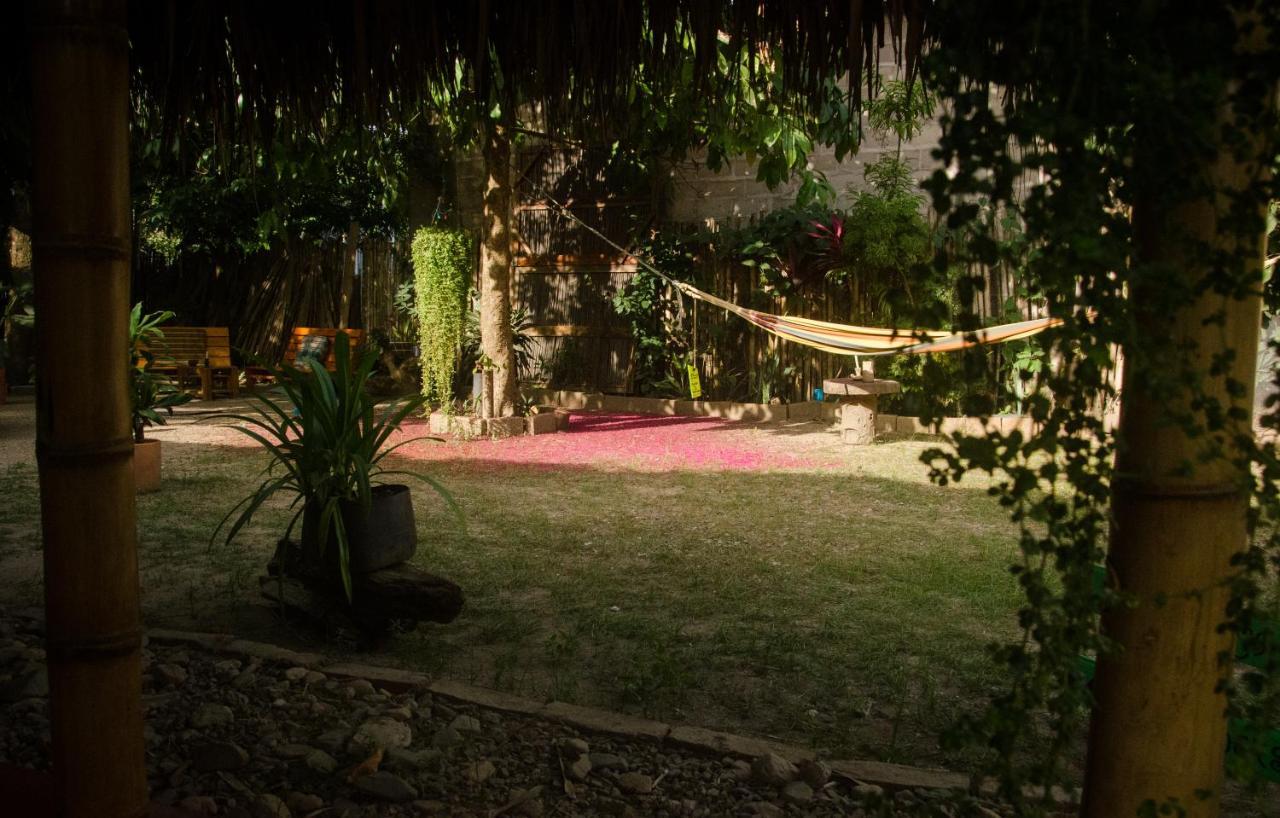 Hostal Corazon De Tagua Palomino Exterior photo