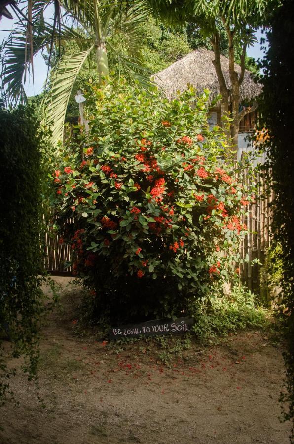 Hostal Corazon De Tagua Palomino Exterior photo