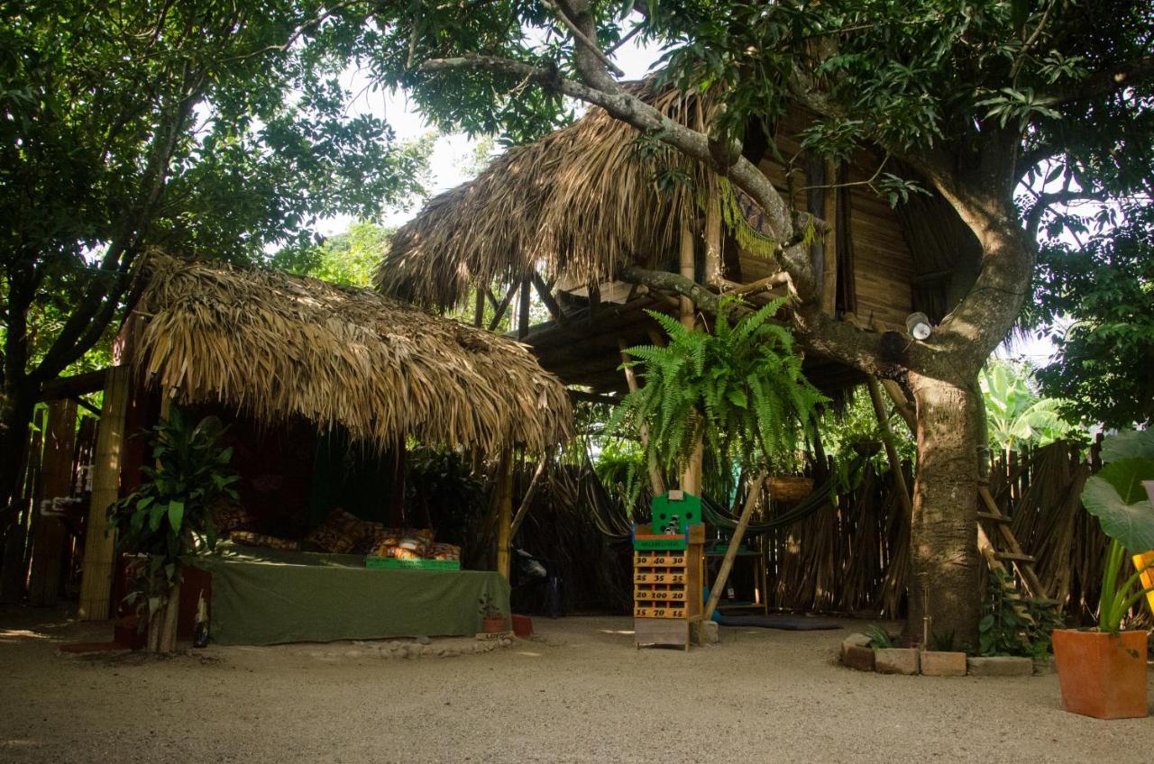 Hostal Corazon De Tagua Palomino Exterior photo